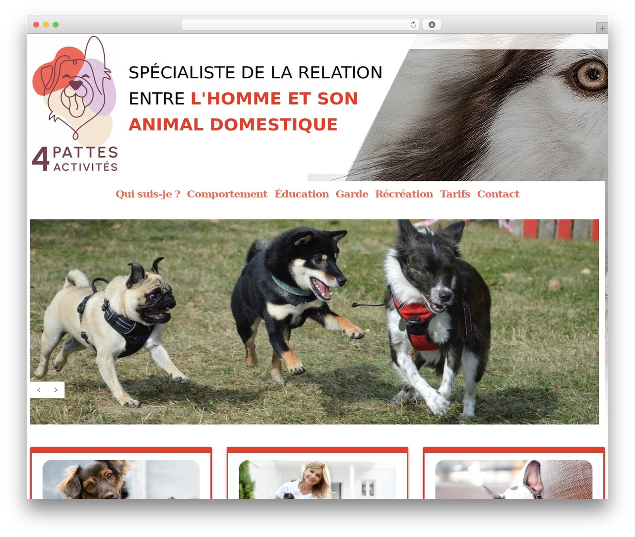 cherry theme WordPress - 4pattesactivites.fr cherry theme WordPress - 4pattesactivites.fr