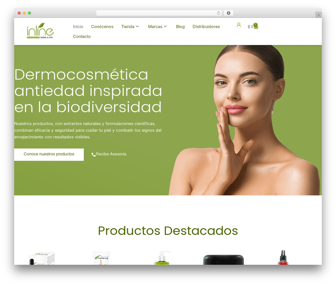 Hello Elementor theme WordPress - inlinecosmetica.com Hello Elementor theme WordPress - inlinecosmetica.com
