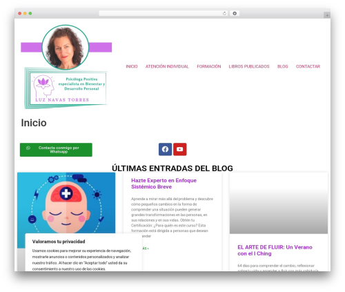 Power builder WordPress plugin - luznavastorres.com
