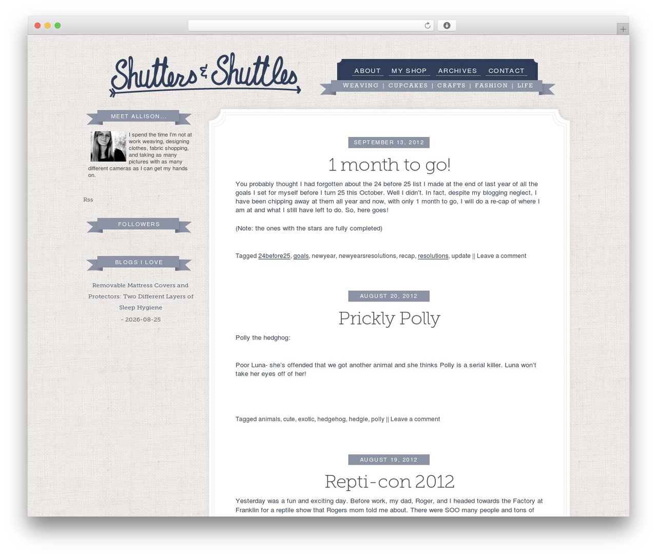 Theme WordPress Toolbox - shuttersandshuttles.com Theme WordPress Toolbox - shuttersandshuttles.com
