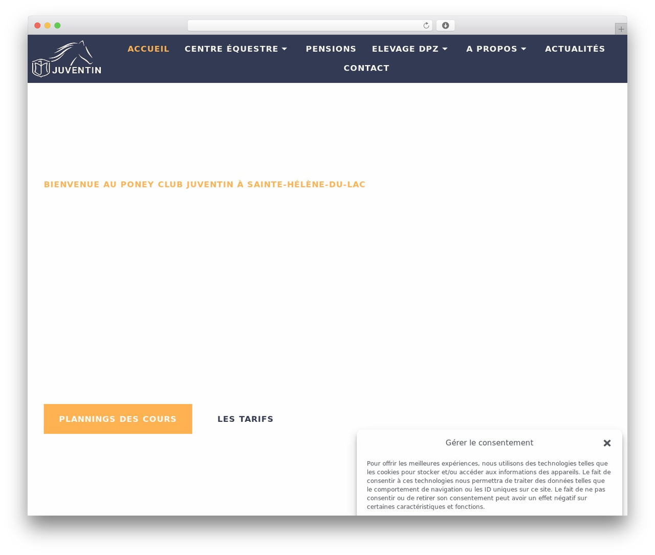 Theme WordPress Hello Elementor - juventin.com Theme WordPress Hello Elementor - juventin.com