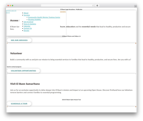 Divi WordPress theme - elbuen.org