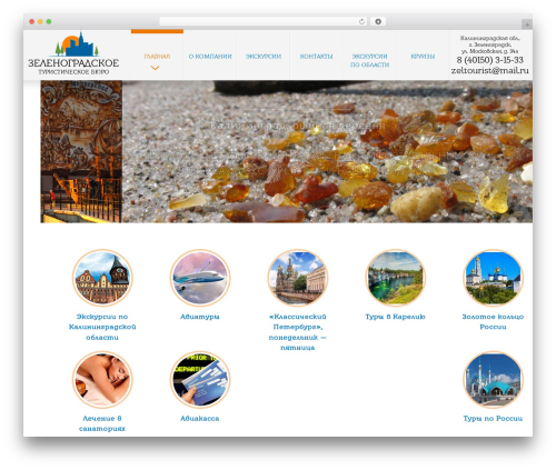 MultiSite WordPress website theme - zelenogradsktour.ru