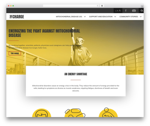 Stealth theme WordPress - thecharge.com