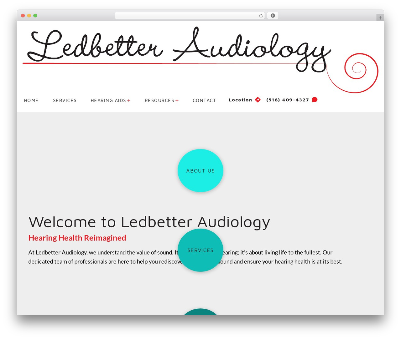 Theme WordPress Pro - ledbetteraudiology.com