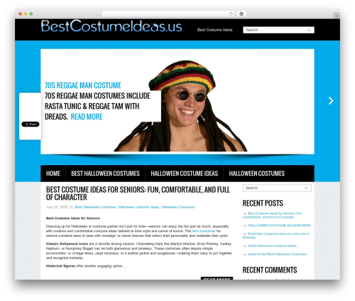 WordPress theme Creation - bestcostumeideas.us