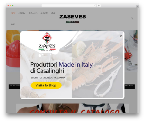 Basel WordPress theme - zaseves.com