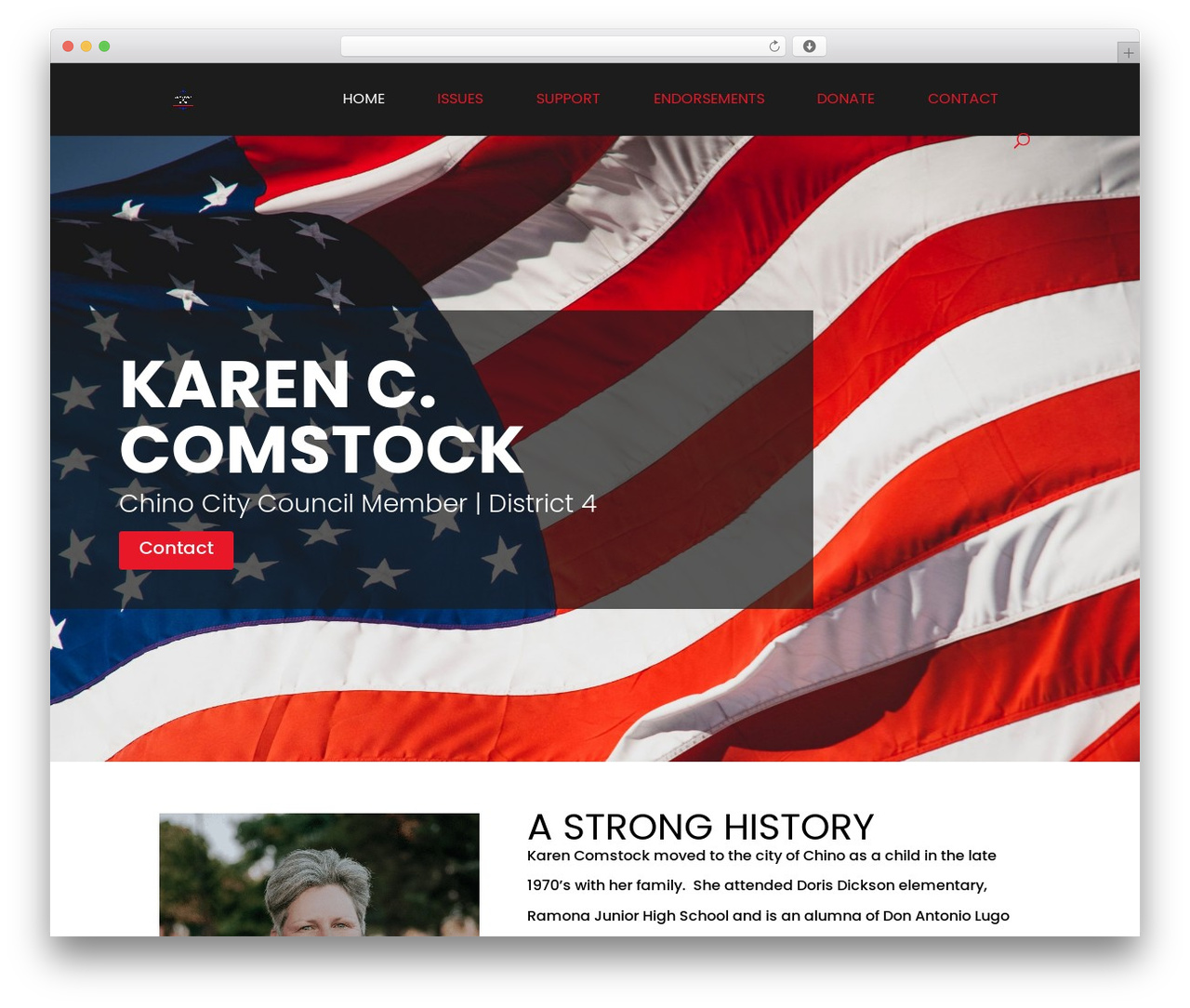 WordPress theme Lionzy Child Theme - comstock4chino.com