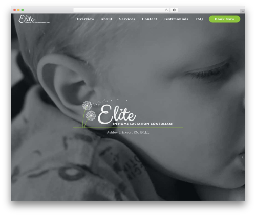 Beaver Builder Theme theme WordPress - elitehomelactation.com
