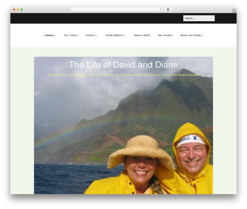 Simple comments WordPress plugin - davidanddiane.com