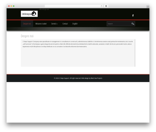TechnoConstruction WordPress theme - 3ss.ro
