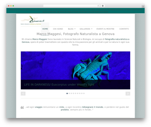 Responsive Gallery With Lightbox (responsive-gallery-with-lightbox) free WordPress plugin - zamenis.it Responsive Gallery With Lightbox (responsive-gallery-with-lightbox) free WordPress plugin - zamenis.it