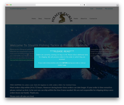 WP Modal Popup with Cookie Integration (wp-modal-popup-with-cookie-integration) free WordPress plugin - stealthtackle.net