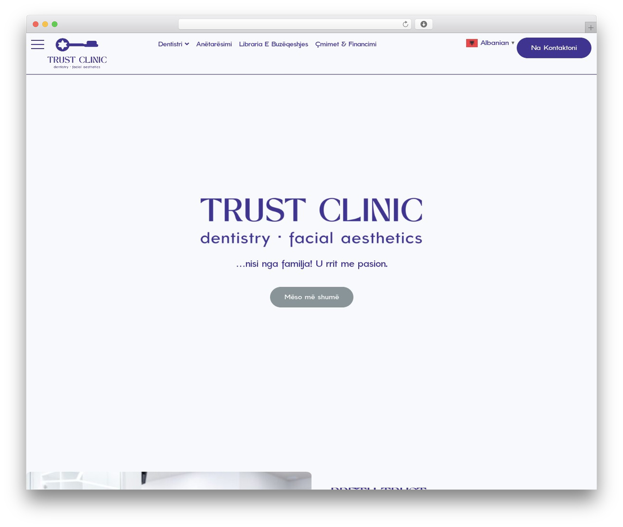 Hello Elementor WordPress theme - trustclinic.al