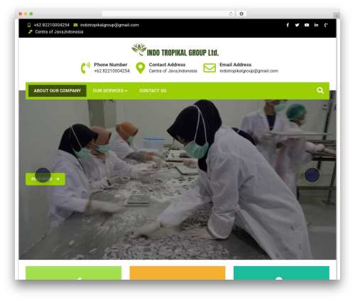 Photo Video Gallery Master (photo-video-gallery-master) free WordPress plugin - indotropikalgroup.com Photo Video Gallery Master (photo-video-gallery-master) free WordPress plugin - indotropikalgroup.com