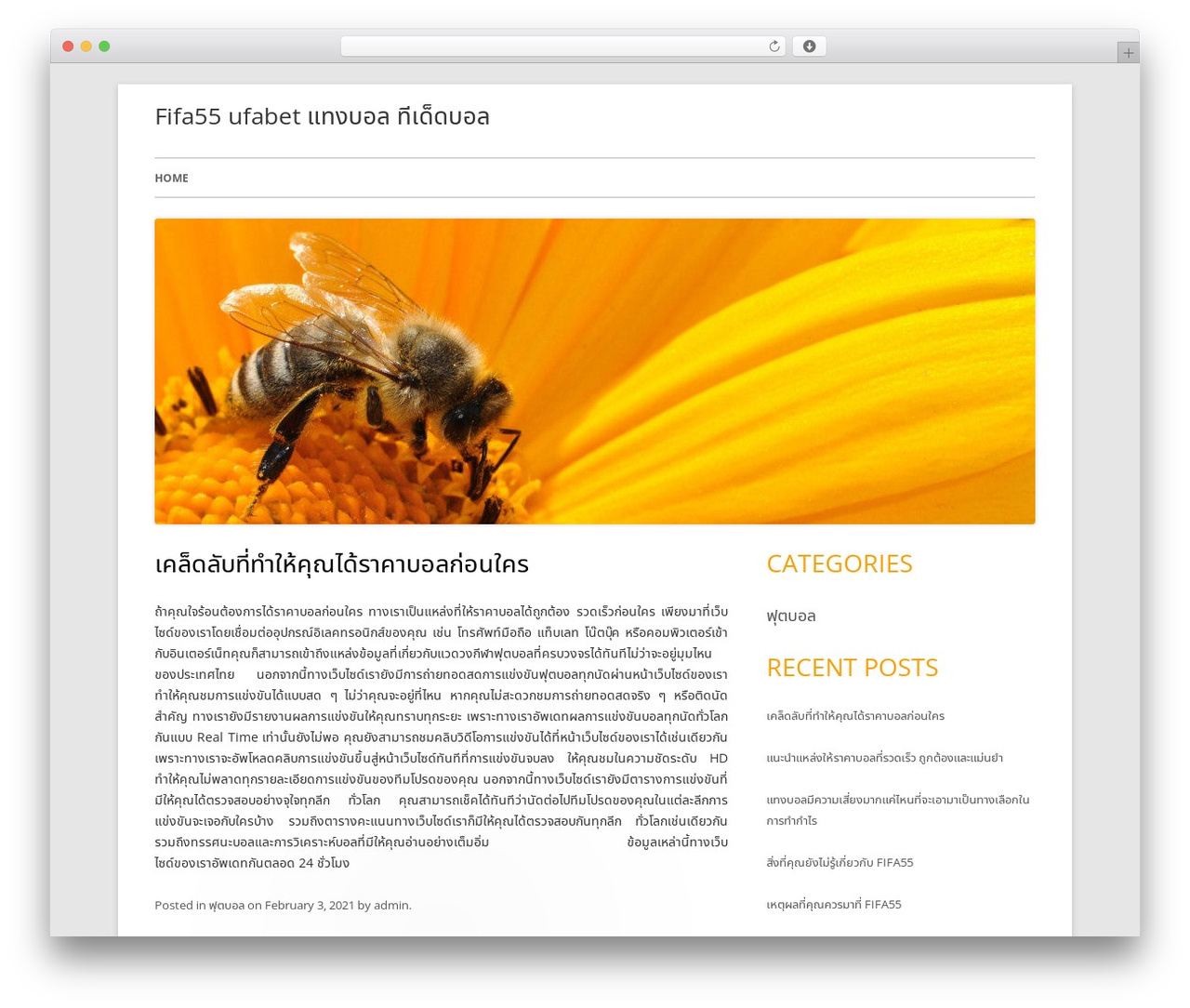 WordPress theme Tiny Forge - fieryhair.com WordPress theme Tiny Forge - fieryhair.com
