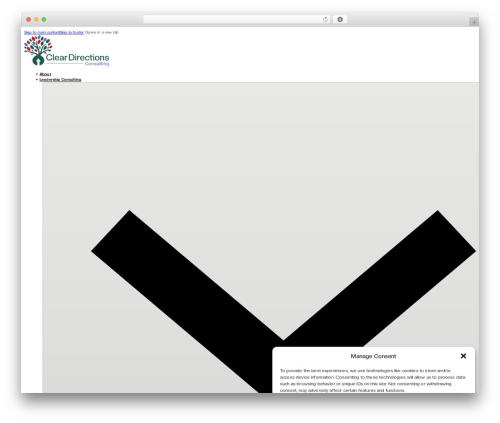 Bricks WordPress theme - cleardirections.ca