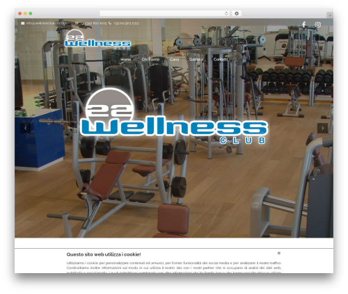 LocalWeb All In One (lw-all-in-one) free WordPress plugin - wellnessclub22.com