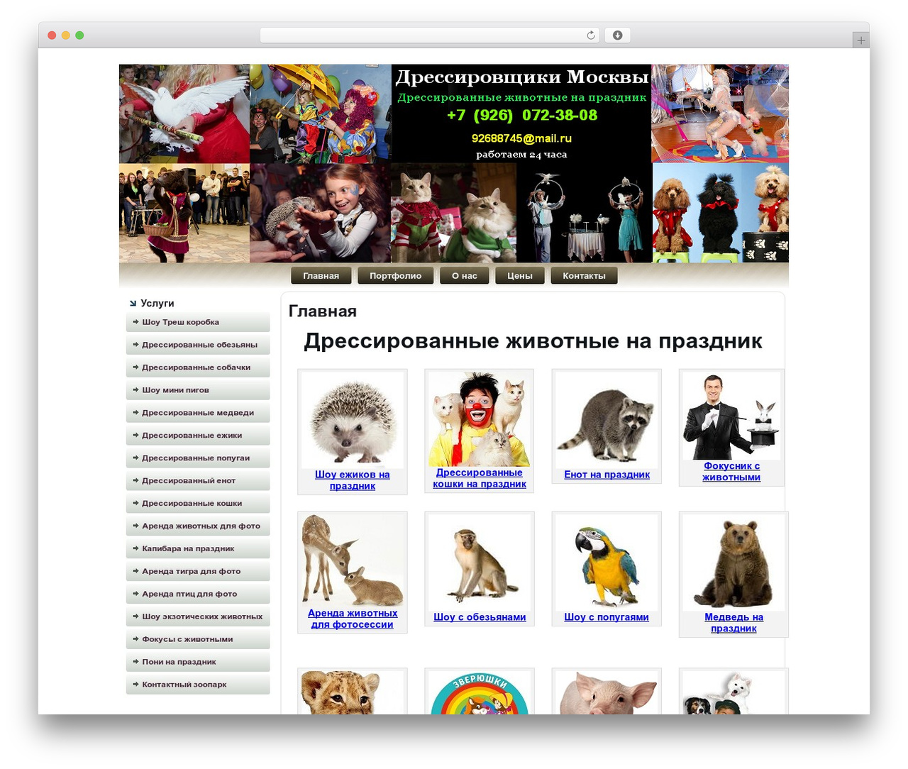 Theme WordPress statui - zooartist.ru