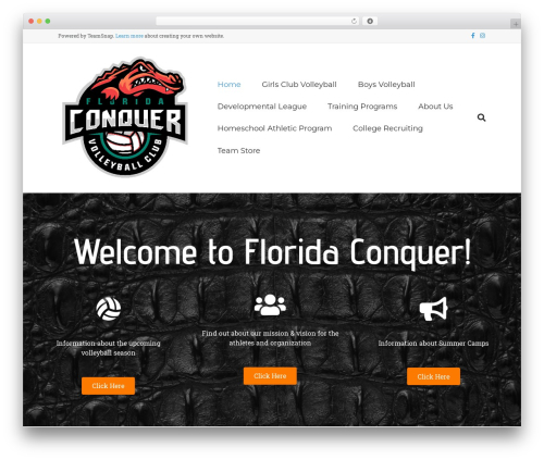 Tswp WordPress plugin - floridaconquervb.com