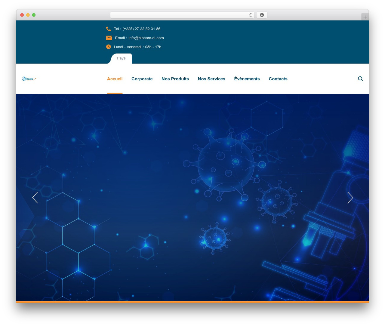 Chemlabs WordPress theme - biocare-ci.com