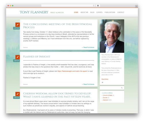 Custom Theme WordPress theme - tonyflannery.com