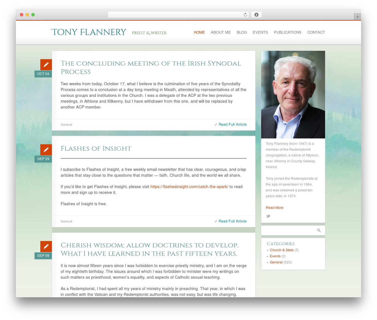 Custom Theme WordPress theme - tonyflannery.com