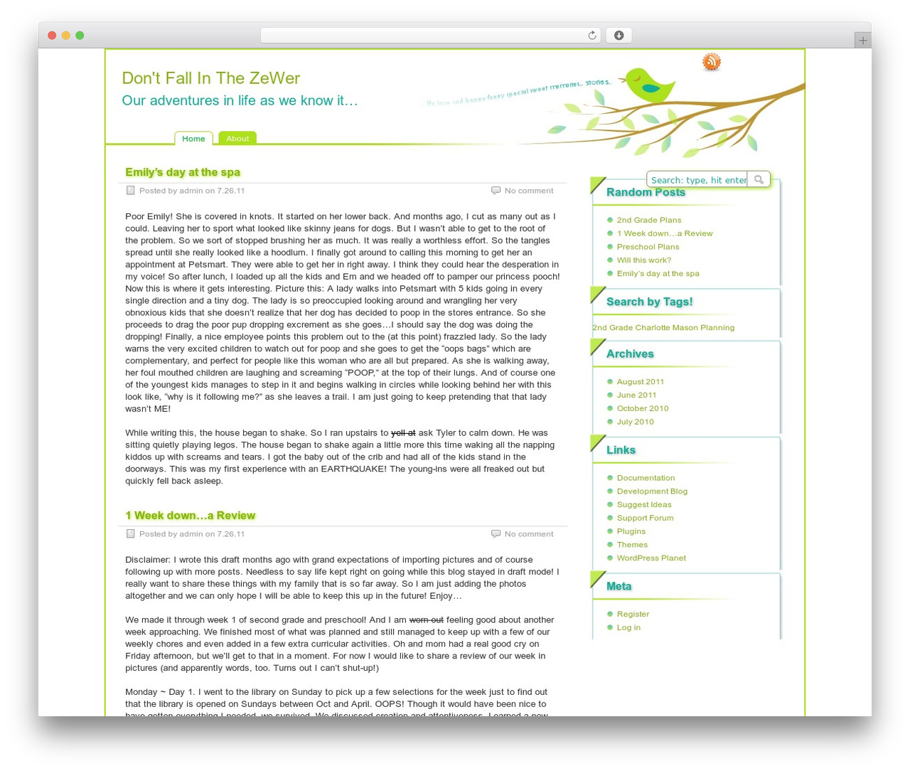 paramitopia theme WordPress - thezewer.com