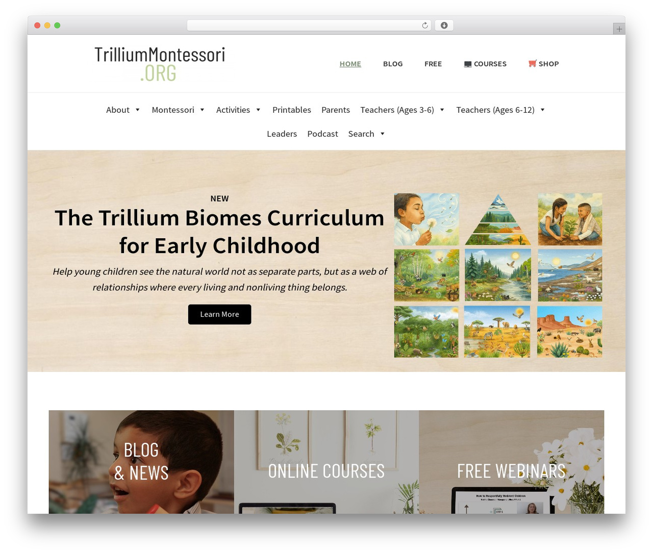 Theme WordPress Genesis - trilliummontessori.org