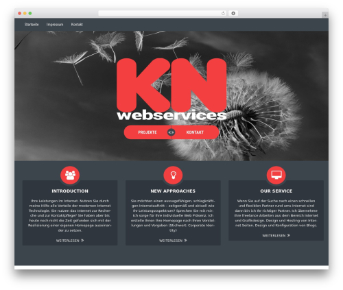 Theme WordPress Unconditional - niermann.com Theme WordPress Unconditional - niermann.com