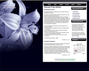 WordPress theme Metamorphosis WordPress theme Metamorphosis