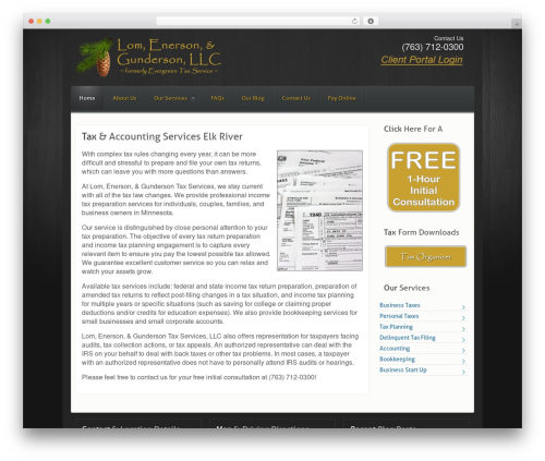 WordPress theme Reflex - taxserviceselkriver.com
