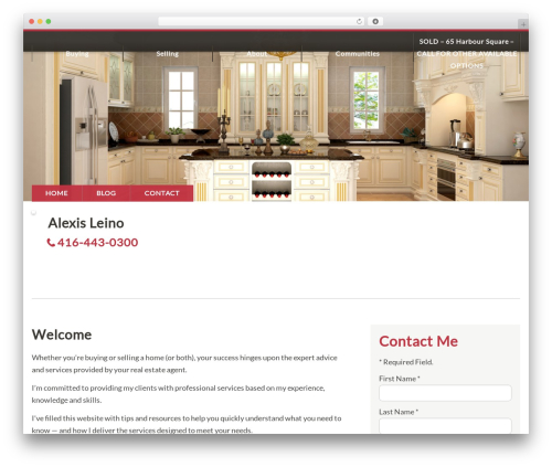 WP theme IXACT Framework - alexisleino.com