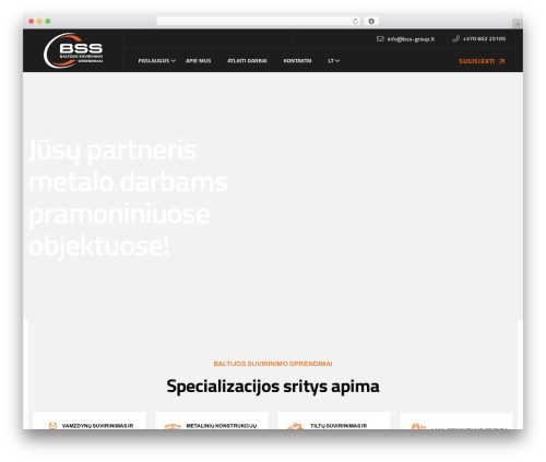 Elevate WordPress theme - bss-group.lt