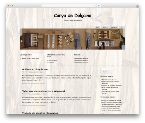 Skeleton Plus WordPress theme - xn--canyadedolaina-pjb.com