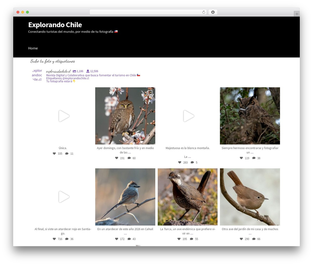 Storefront WordPress theme - explorandochile.cl Storefront WordPress theme - explorandochile.cl