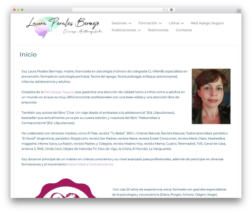 Custom iframe WordPress plugin - lauraperalesbermejo.com
