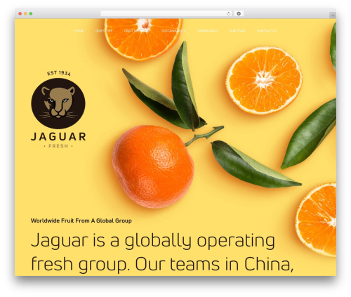 Aoraki company WordPress theme - jaguarthefreshcompany.com