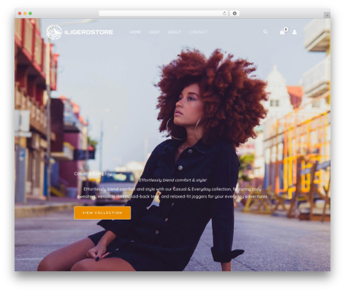 Power coupons WordPress plugin - iligerostore.com
