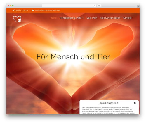 Wprt addons WordPress plugin - mitdemherzenverstehen.de