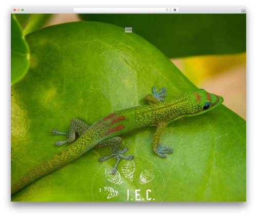 Mhmm WordPress plugin - iecsa.ch