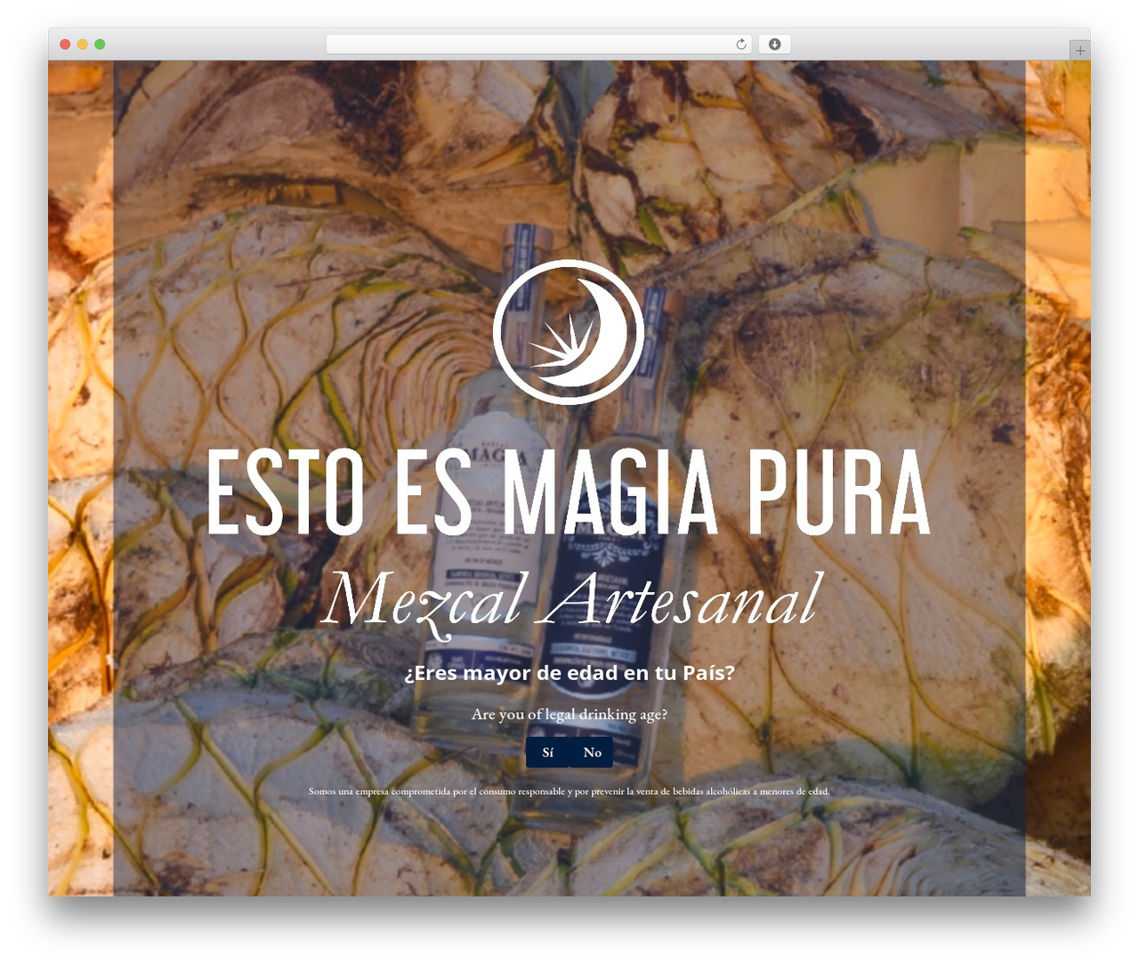 Divi WP theme - magiamezcal.com