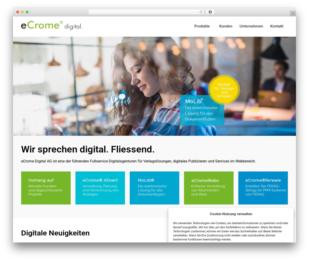 Hello Elementor WordPress theme design - www.ecrome.digital Hello Elementor WordPress theme design - www.ecrome.digital