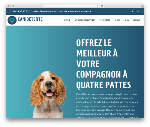 Dc scroll top WordPress plugin - canidetente.fr