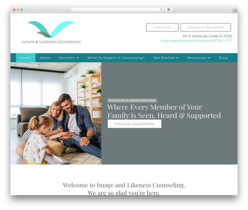 Megatheme WordPress theme - imageandlikenesscounseling.com