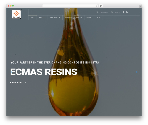 Miro WordPress theme - ecmas.in