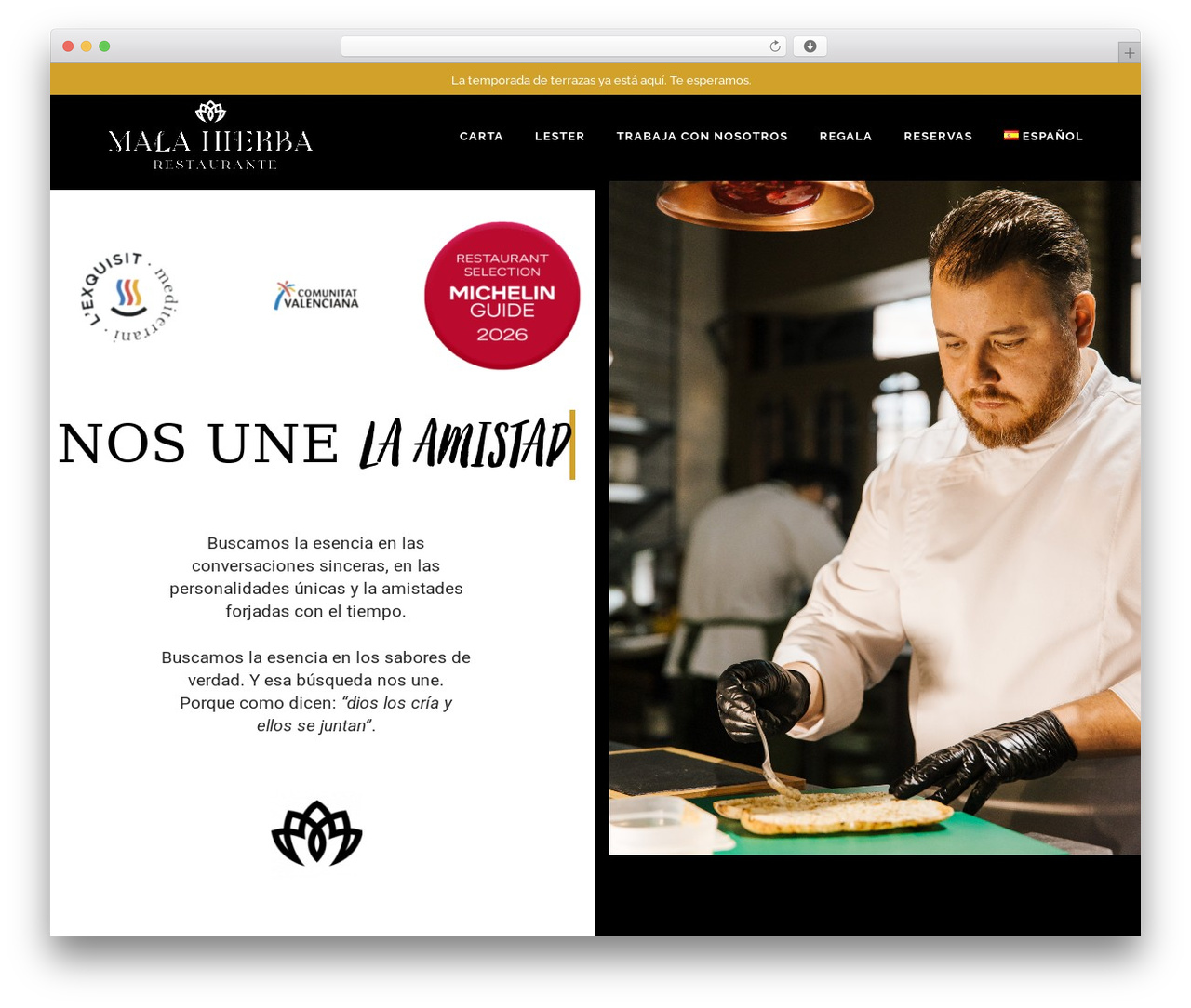 Theme WordPress Bridge - restaurantemalahierba.com