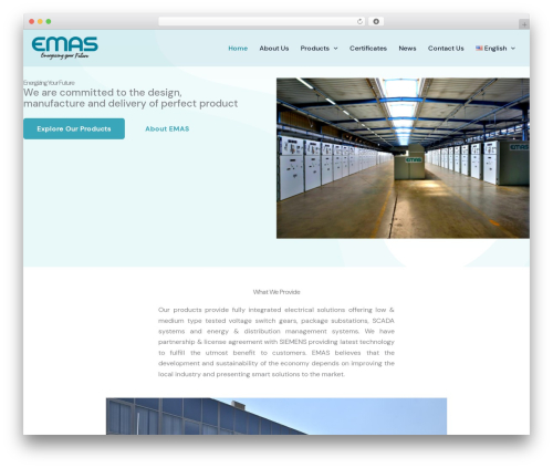 WordPress theme Astra - emaselsewedy.com