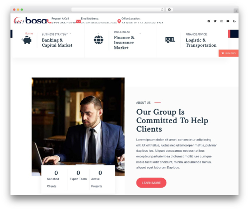 Bosa buy now WordPress plugin - demo.bosathemes.com/bosa/finance