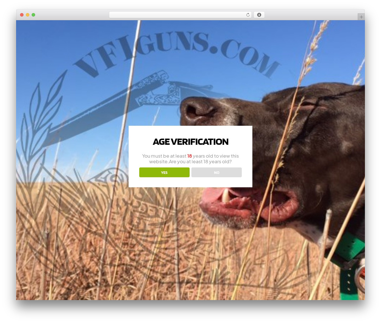 WordPress theme Wildy - vfiguns.com